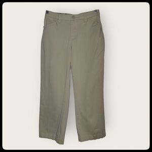 Lee Tan Stretch Chinos, Flat-Front, 6 Short